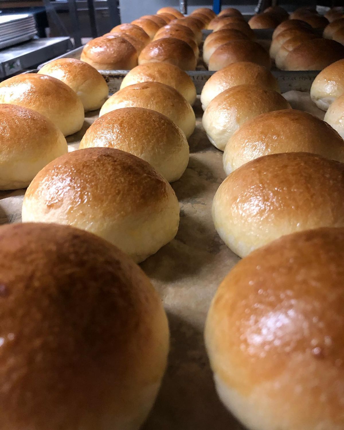 Dinner Rolls- 6 Pack