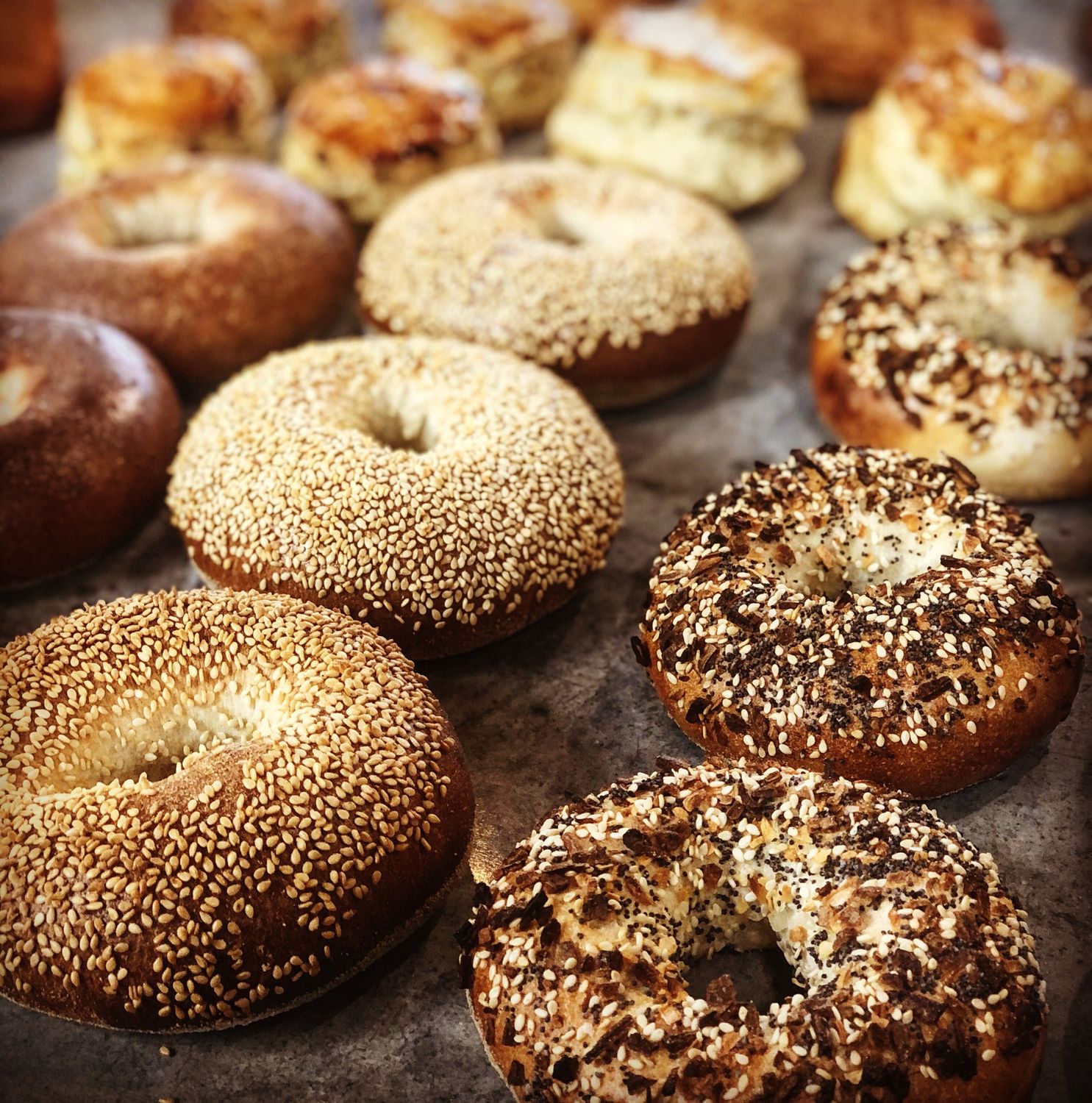 Bagel, Flavor: Plain