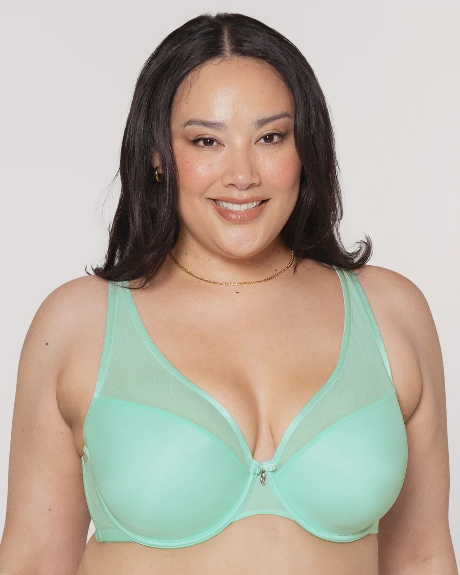 Sheer Mesh Plunge T Shirt Bra