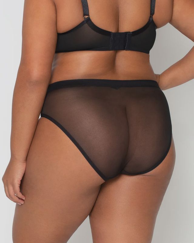 Sheer Mesh High Cut Brief Panty 1313