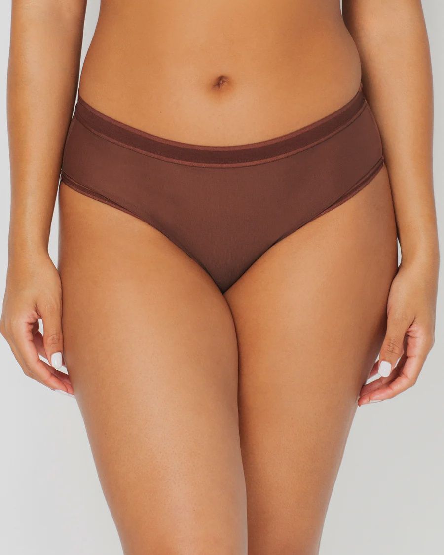 Sheer Mesh High Cut Brief Panty