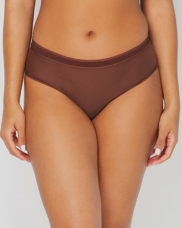 Sheer Mesh High Cut Brief Panty