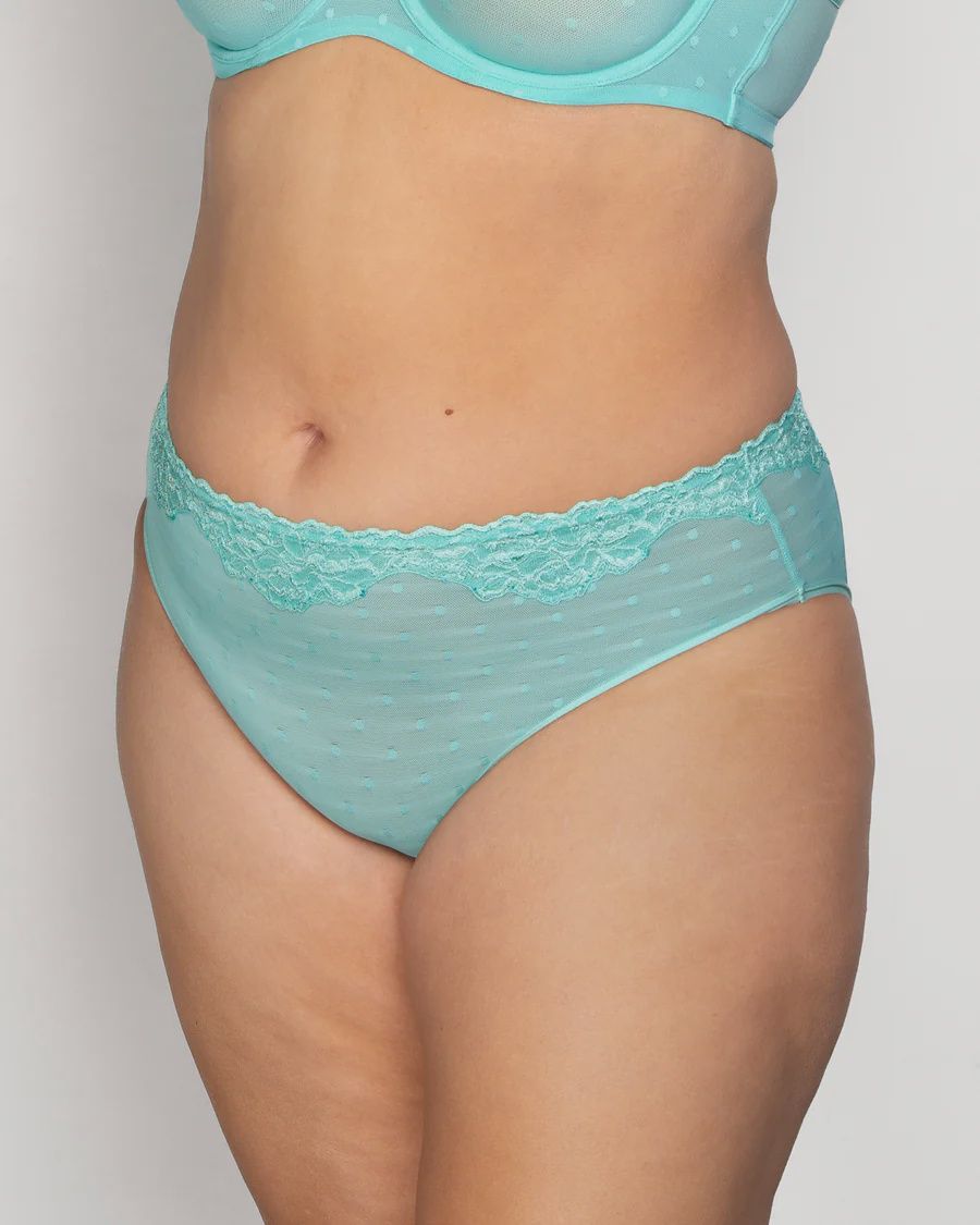 Sheer Whisper High Cut Brief Panty