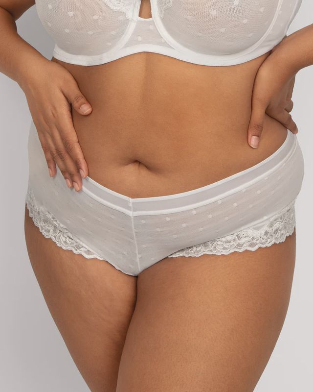 Sheer Whisper Cheeky Boyshort Panty 1610
