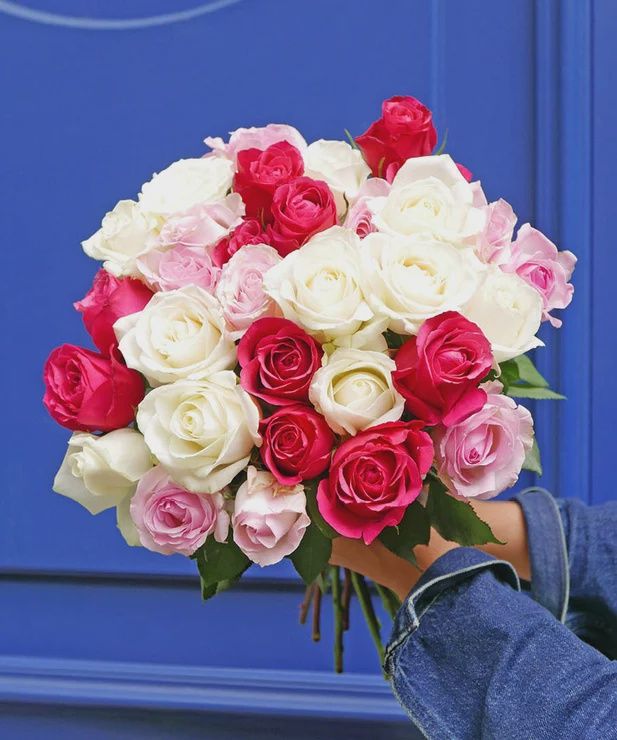 Brassée de Roses – Louvre