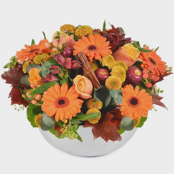 Composition Brume d’Automne – Douceur Saisonnière