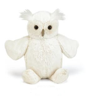 Medium Bashful Owl