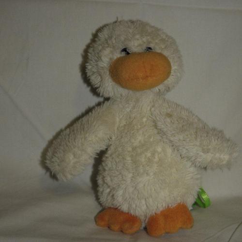 Dick Bird