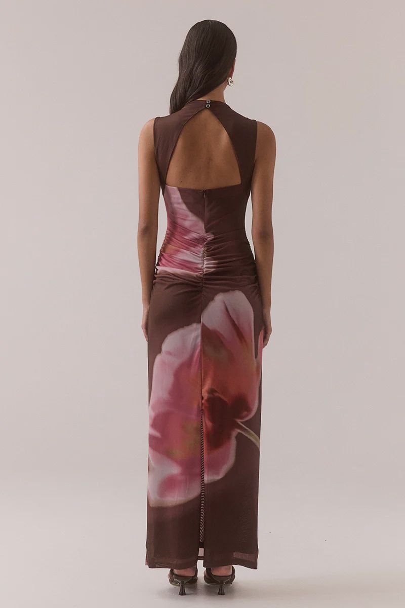 Sovere - Ayden Dress Brownie