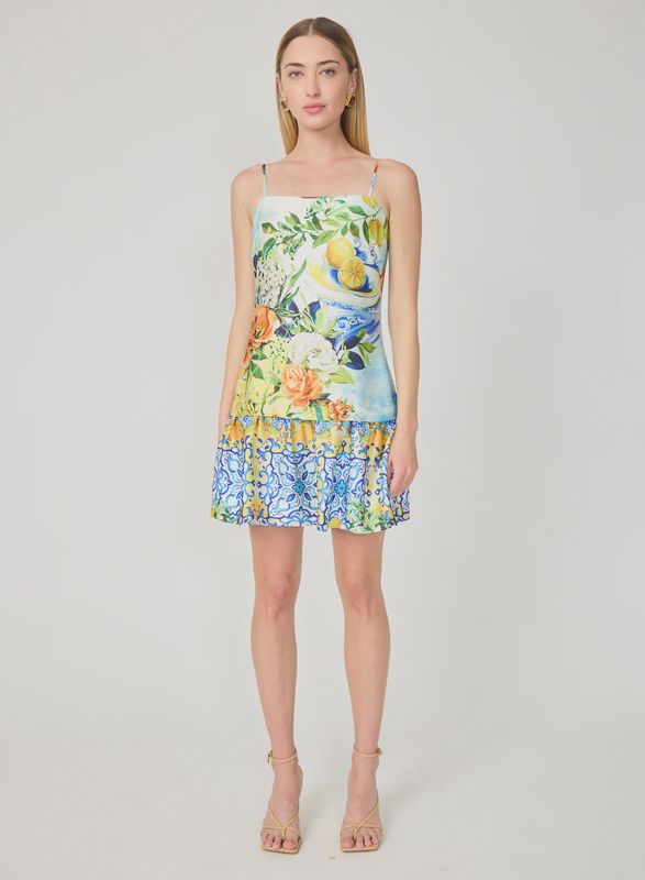 Gilner Farrar - Soraya Mini Dress Portofino Print