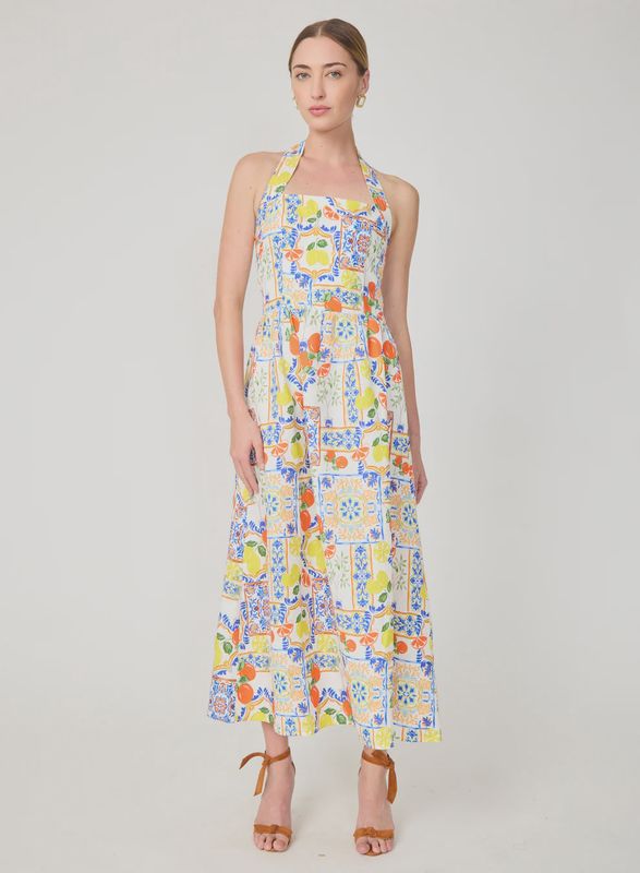 Gilner Farrar - Colby Maxi Dress Naples Print