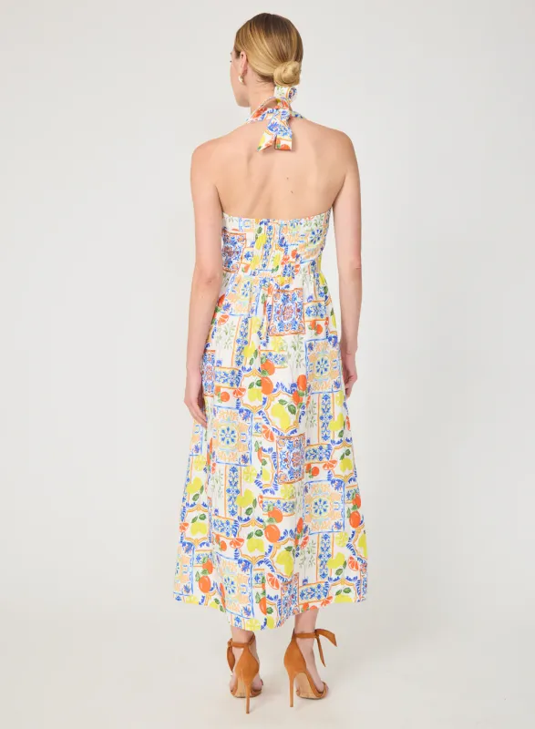 Gilner Farrar - Colby Maxi Dress Naples Print