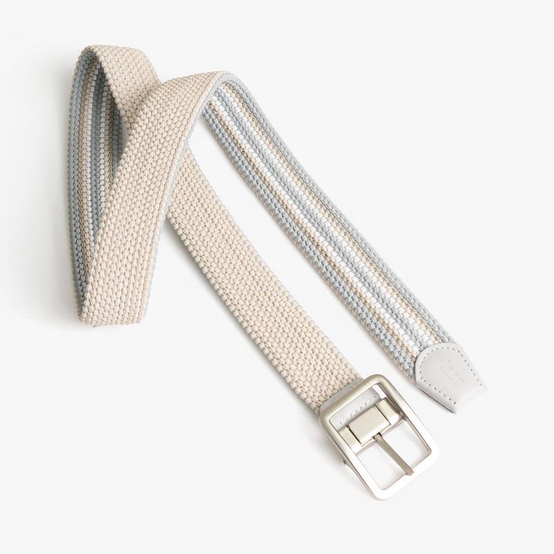Reversible Belt Light Gray Striped