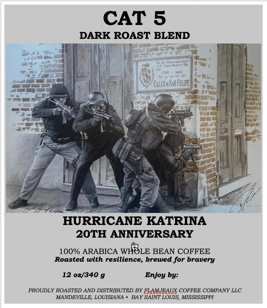 CAT 5 - HURRICANE KATRINA 20th ANNIVERSARY