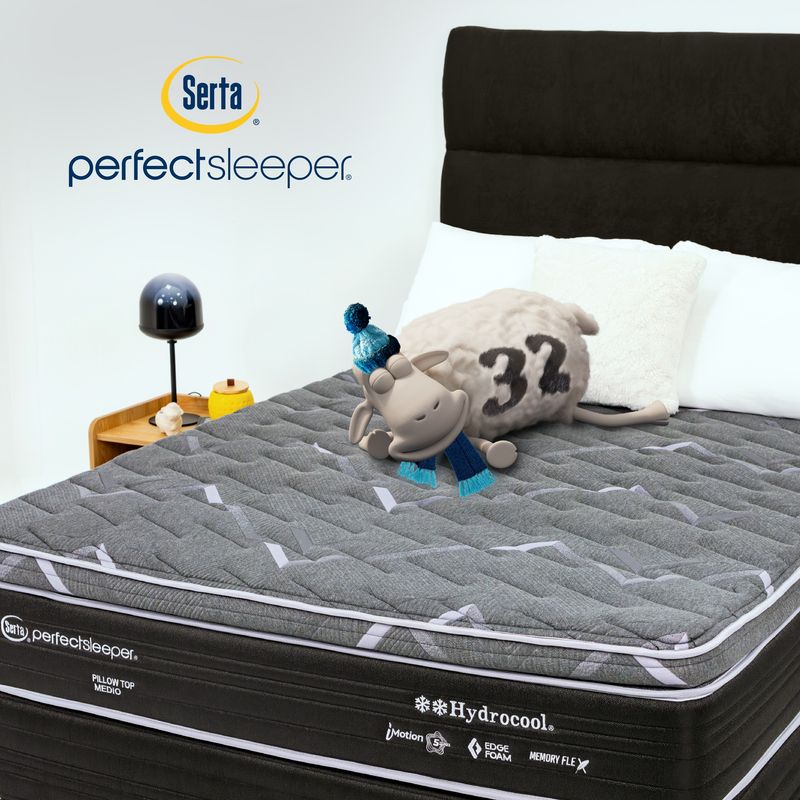 Serta Perfect Sleeper Pillow Top