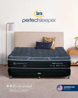 Serta Perfect Sleeper Euro Top