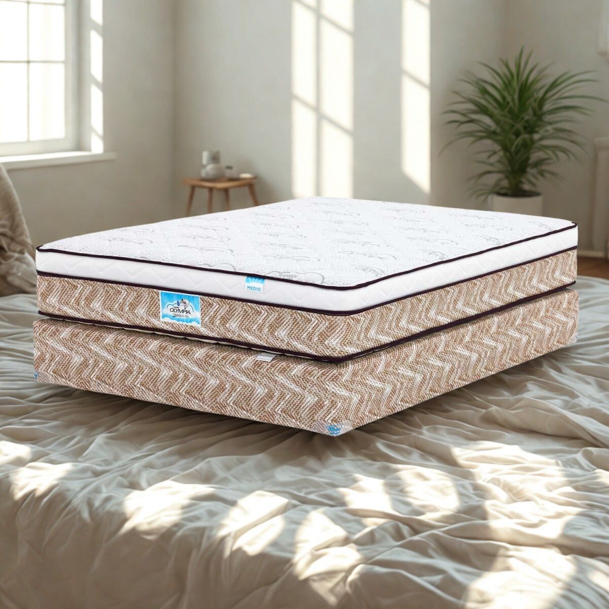 Olympia One Box Top