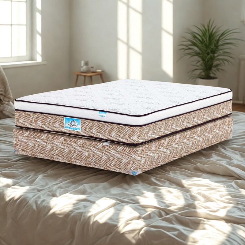 Olympia One Box Top