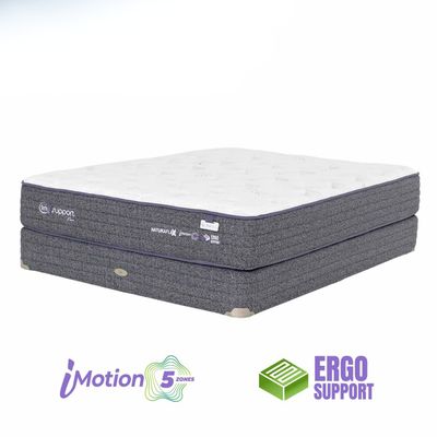 Serta iSupport Firm