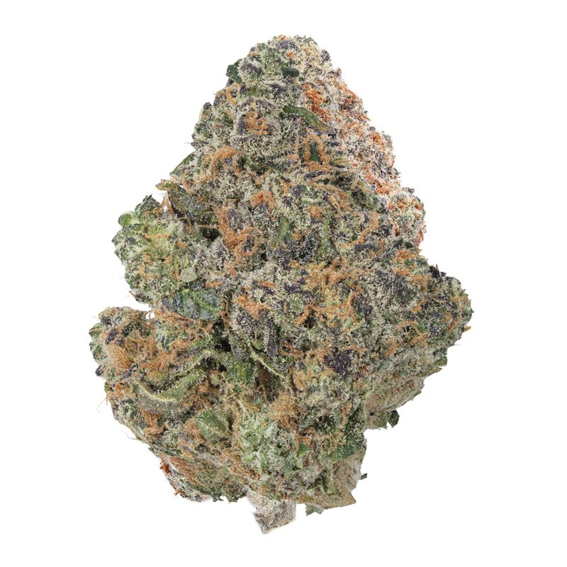 Gas Packs Exotic Hemp Flower | Sherbcrasher 3.5g