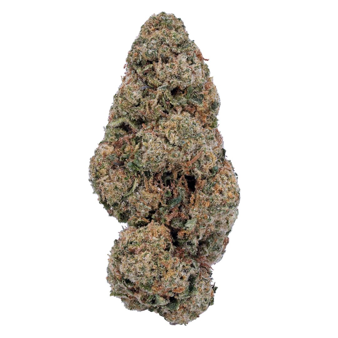 Gas Packs Exotic Hemp Flower | Girl Scout Cookies 3.5g