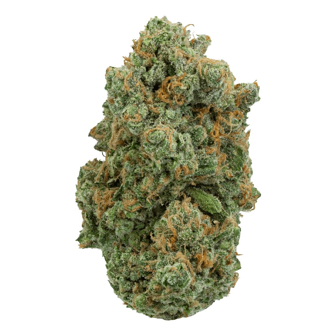 Gas Packs Exotic Hemp Flower | Future Haze 3.5g