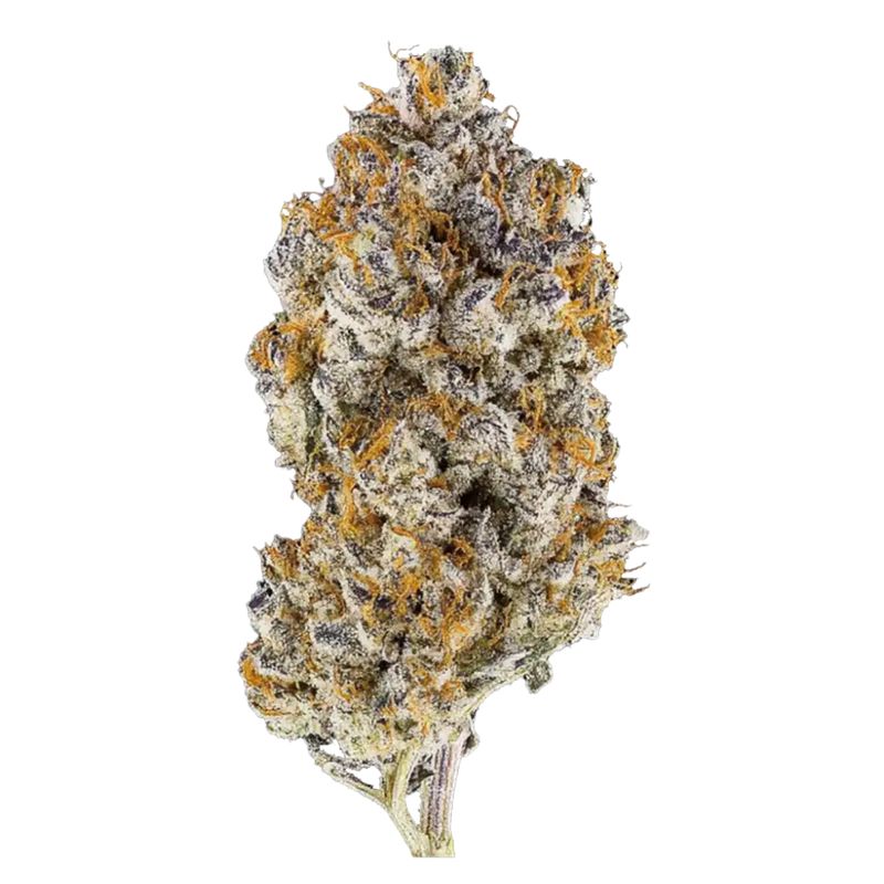 Gas Packs Exotic Hemp Flower | Orange Bellini 3.5g