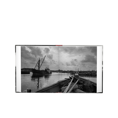 Beyond the Shadows: The Holocaust and the Danish Exception