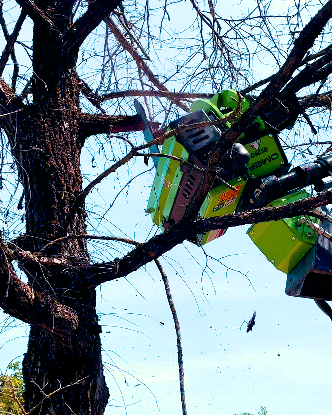 OMEF GS250 Tree Felling Head & Grapple Saw | 3–5.5 Tonne Excavators | 250mm Cut From $43,890 inc GST