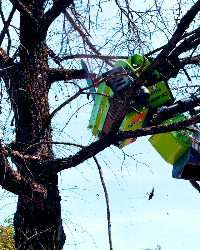 OMEF GS250 Tree Felling Head & Grapple Saw | 3–5.5 Tonne Excavators | 250mm Cut From $43,890 inc GST
