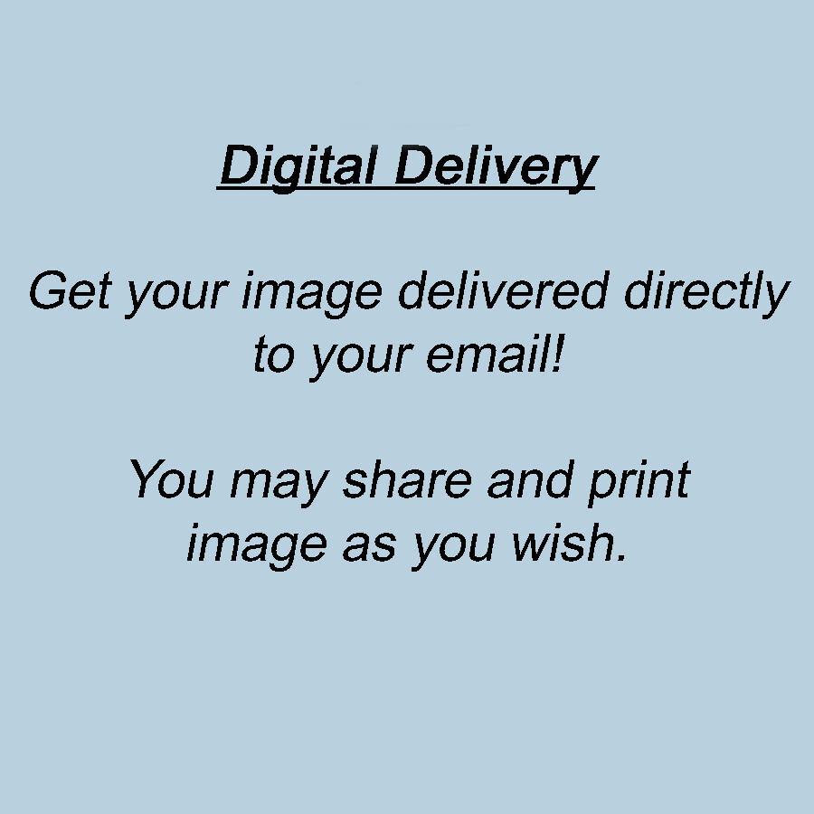 Digital Image Delivery