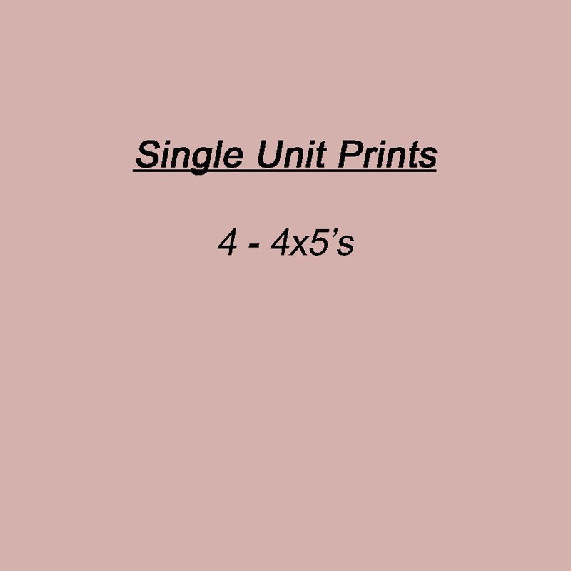 Fall 4- 4x5&#39;s