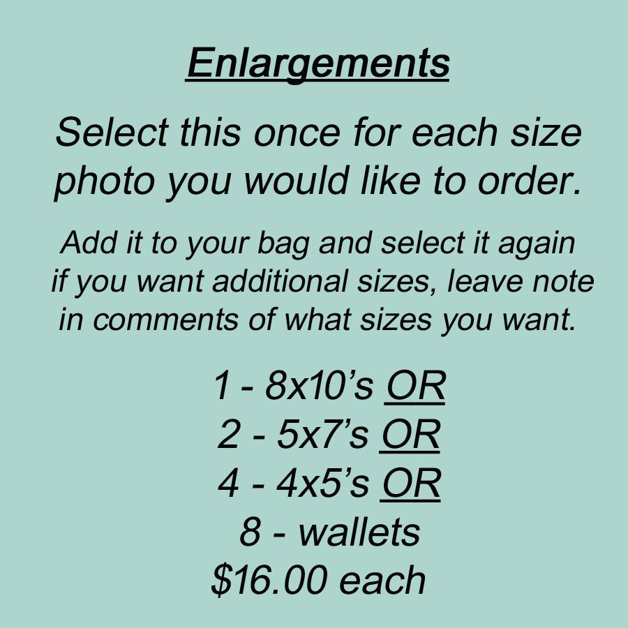 Enlargements