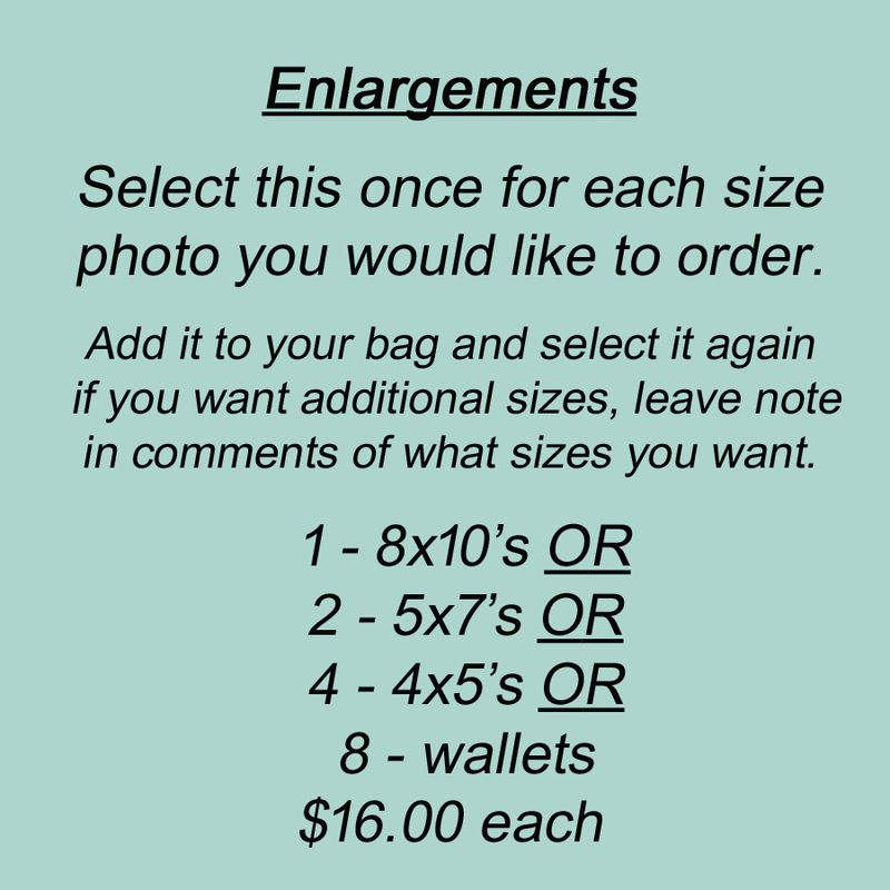 Enlargements