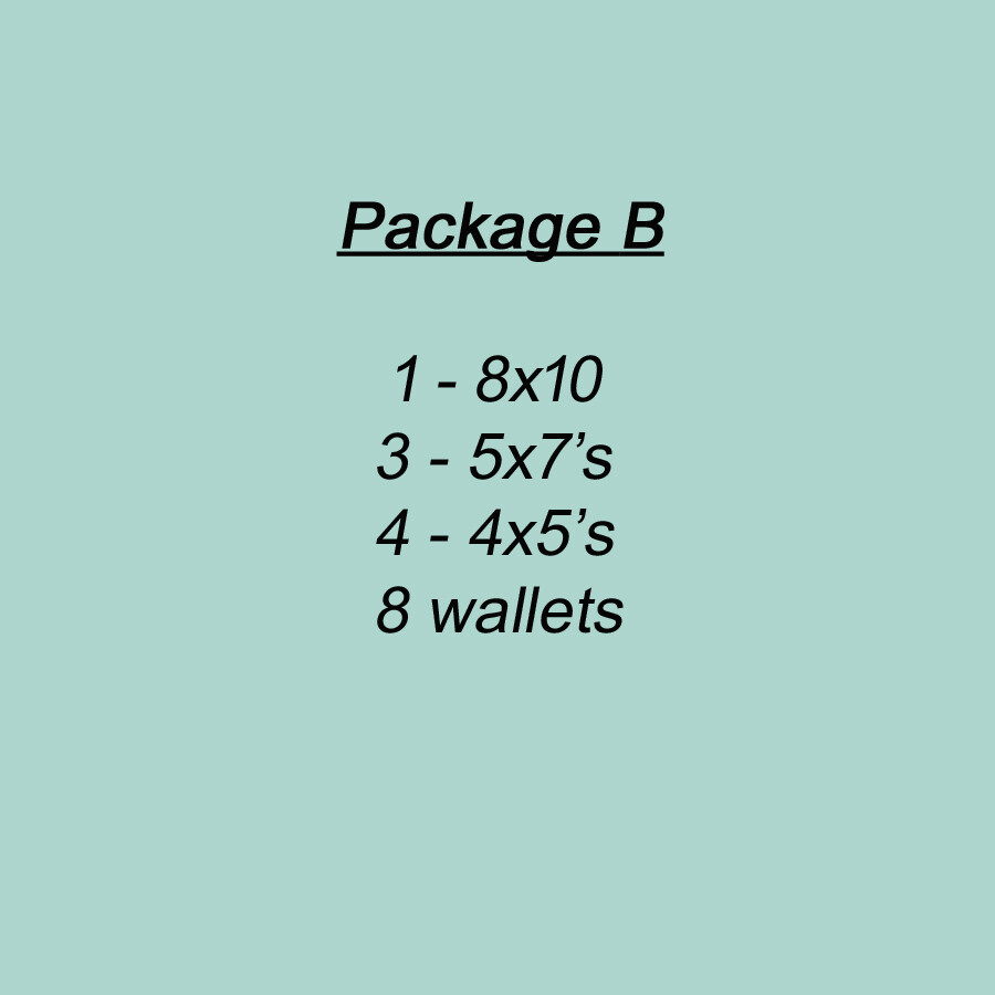 Package B