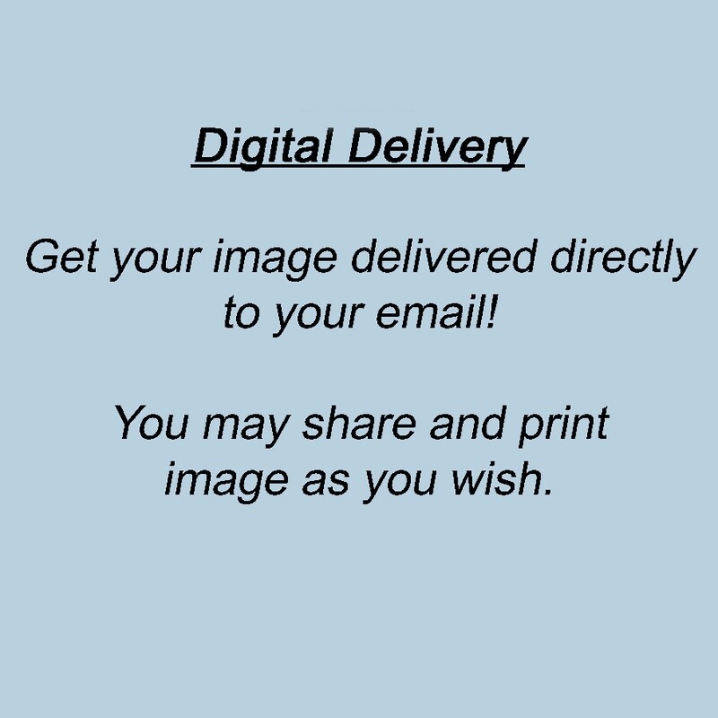 Digital Image Delivery