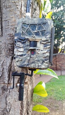 Trail Camera Accessories