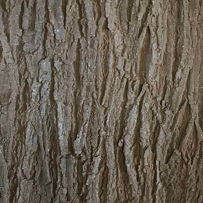 CamoHide Sweet Thorn