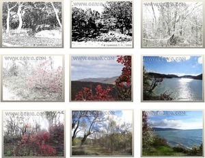 Grigori Grabovoi canvas art reproductions