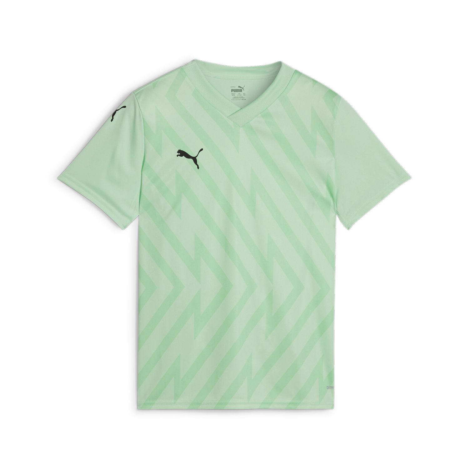 PUMA teamGLORY Jersey Jr  Football - Fresh Mint-PUMA Black, 176, Größe: 176, Farbe: Fresh Mint-PUMA Black