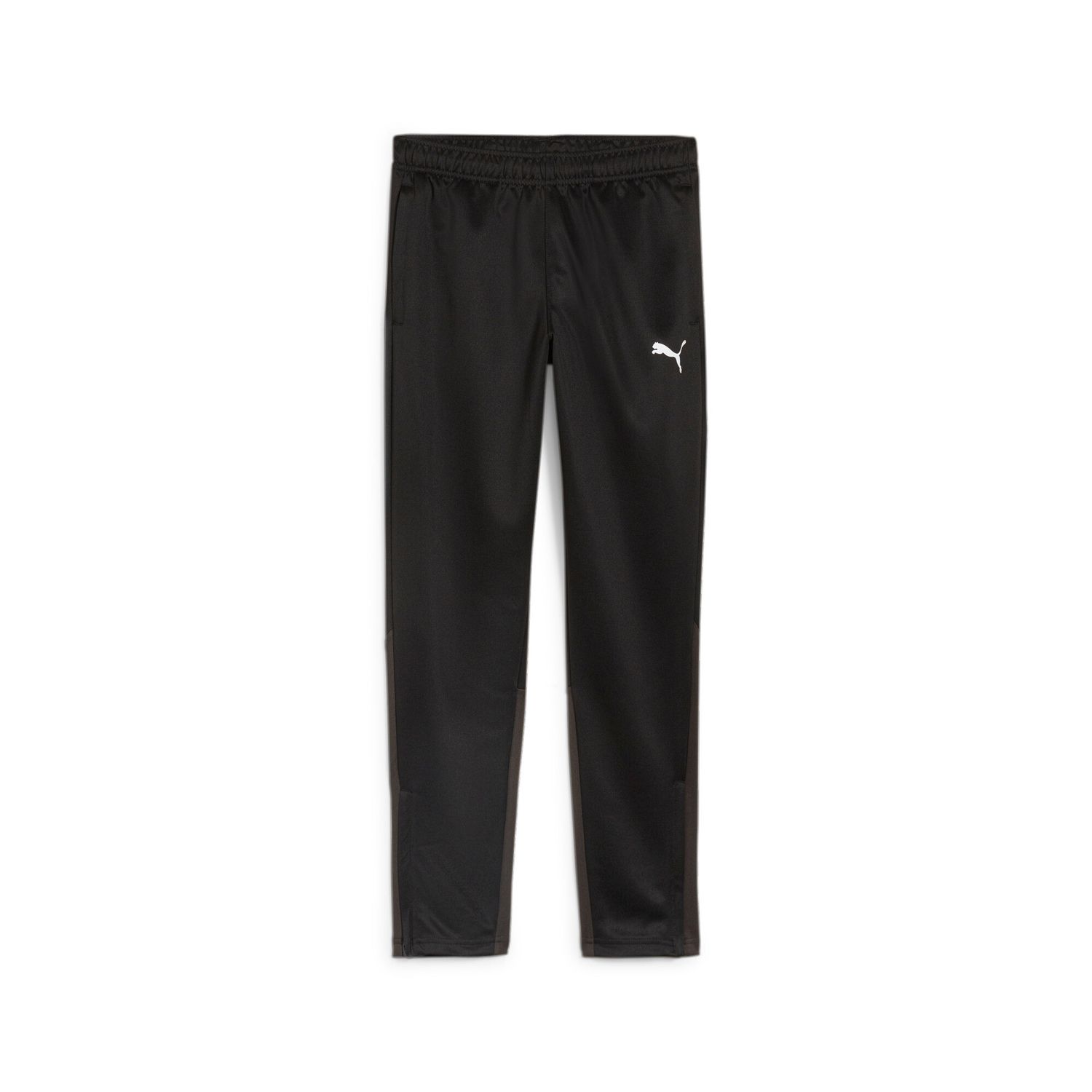 PUMA teamGOAL Training Pant Jr  Football - PUMA Black-PUMA White-Flat Dark Gray, 176, Größe: 176, Farbe: PUMA Black-PUMA White-Flat Dark Gray