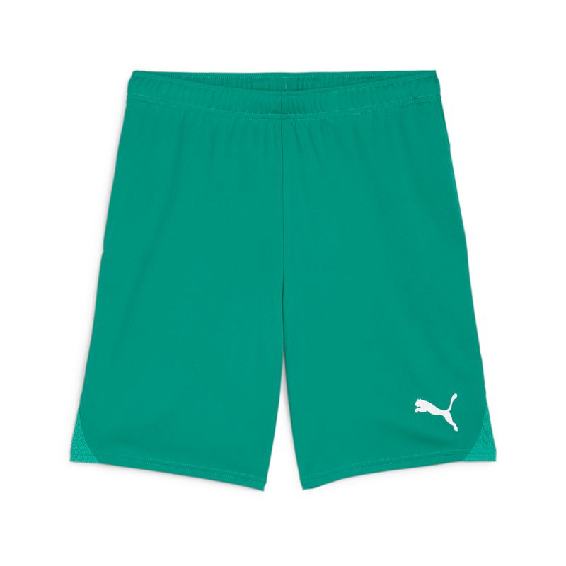 PUMA teamGOAL Shorts Herren Football - Sport Green-PUMA White, XS