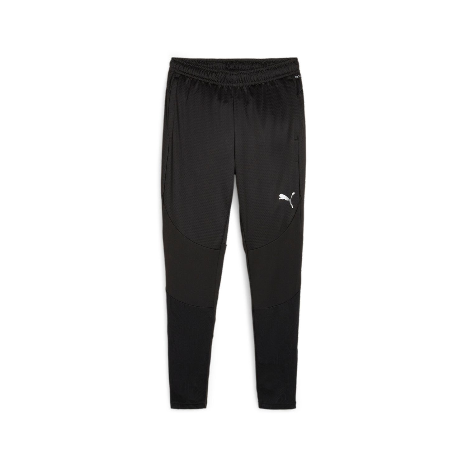 PUMA teamFINAL Training Pants Herren Football - PUMA Black-Puma Silver, Farbe: PUMA Black-Puma Silver