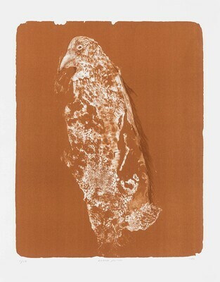 Totem Falcon (Siena) - Lithograph