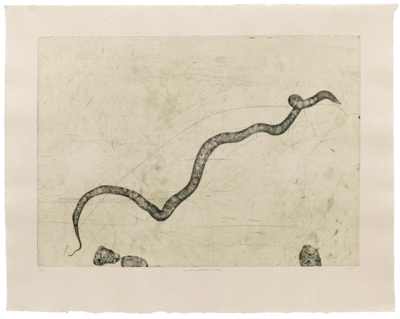Prima Materia (Hydra) - Etching