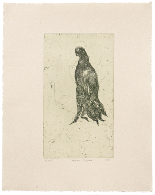 Algae Figure - Etching