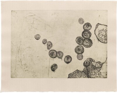 Prima Materia (Infected Cells) - Etching