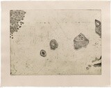 Prima Materia (Ovarian Follicles) - Etching