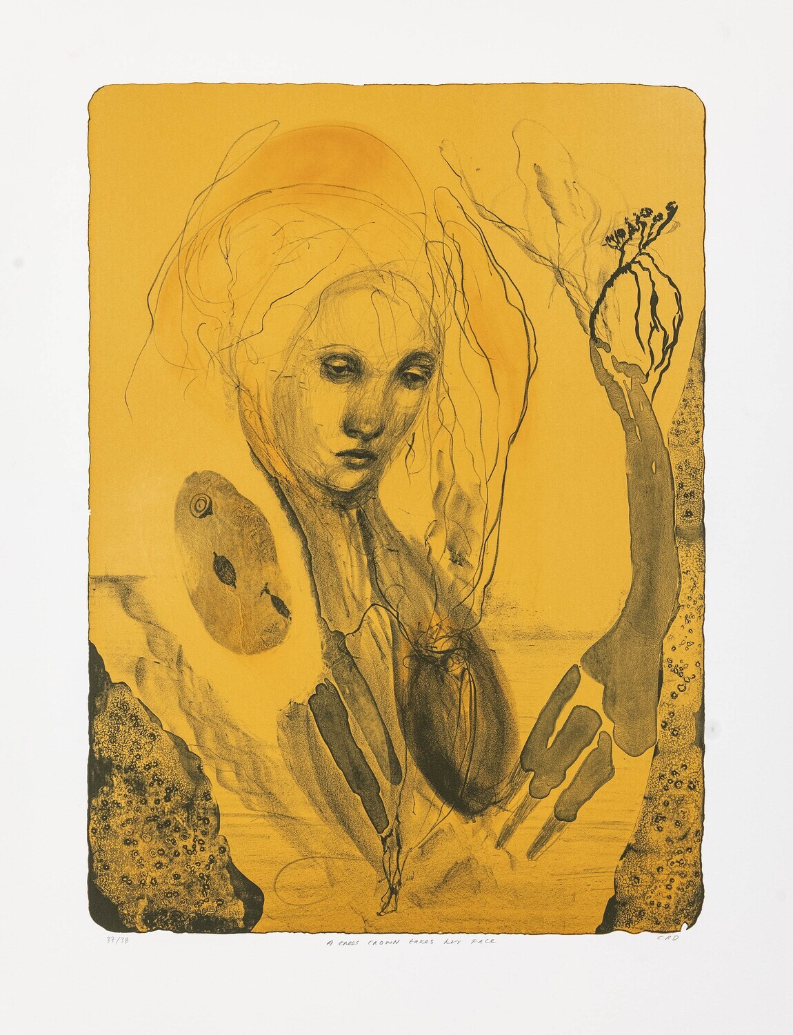A Tree´s Crown Takes Her Face - Lithograph