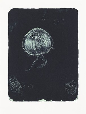 Moon Medusa - Lithograph